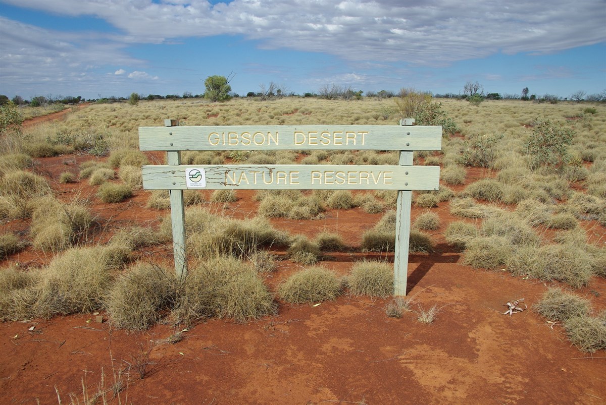 Gibson Desert Nature Reserve Western Boundary WA BOG Places