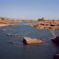 And there are fish in there