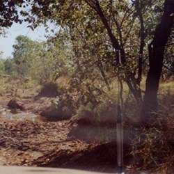 Bit of a rough patch