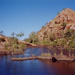 More of the Fitsroy River