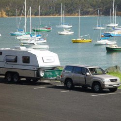 Bushtracker at Quarantine Bay