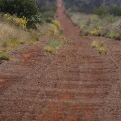 Gunbarrel 11