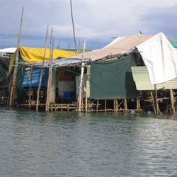 Cambodian crabbers