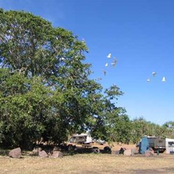 camp at Shady camp