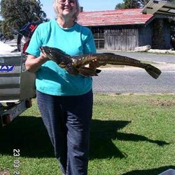 helen with her flathead