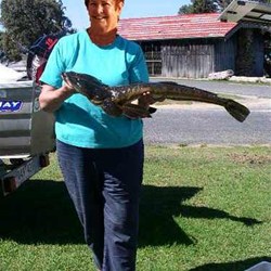 maureen and her flathead