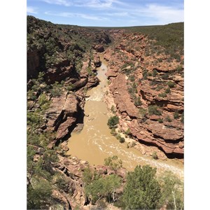 The Murcheson River WA