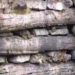 Timber dam wall near Herberton