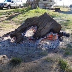 On 3rd day of burning