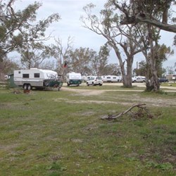Some of the vans at Muster