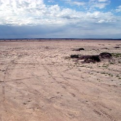A very dry Lake Hindmarsh
