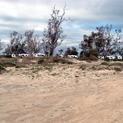 Some of the vans from the lake