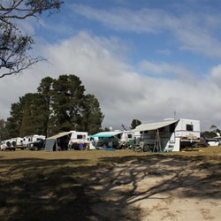 Vans in the NE Corner