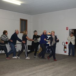 Strutting Their Stuff