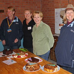 Miscellaneous Place-getters