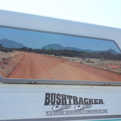 Telembugrem's Customised Front Window Guard