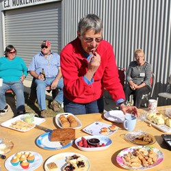 These Chocolate Coated Strawberries are Yummy!