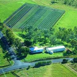 Bunjurgen Estate Vineyard
