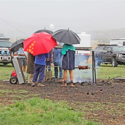 neither rain hail or snow would keep these bt ers from thier dinner 