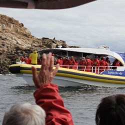 the bruny island boat ride highly recommended