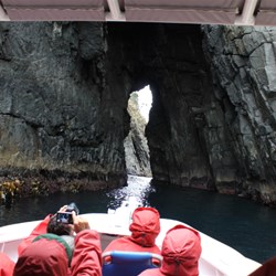 bruny boat ride spectacular