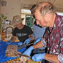 you can't keep him out of the action - mouth watering 