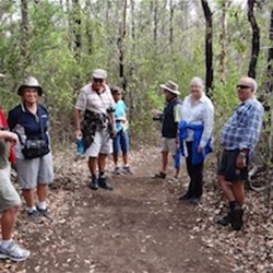 A group of campers on their way up to Castle Rock in the Porongorups.  Quite a rigorous climb but well worth the effort for those that made the attemp