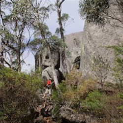 Nearly there says George.