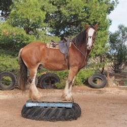 Look at me Look at me!