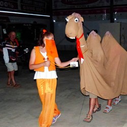 Krystal Leading Ric & Kerrie (Camel)