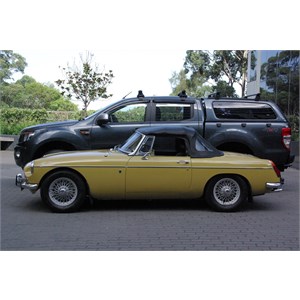 morphed mg cropped hi res