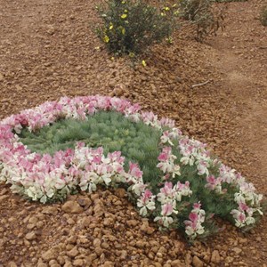 Wreath Flower