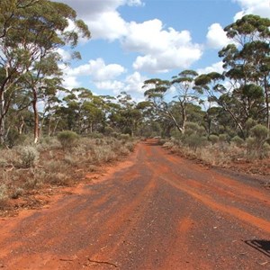 Bullfinch to Goongarrie Station