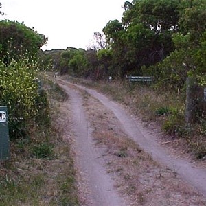 Robe Beach Run