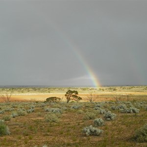 Lake Ifould