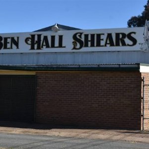 2025 11 November BOG Newsletter No. 56