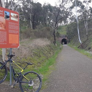 Cycling through the Cheviot Tunnel