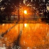 Forbes Sunset