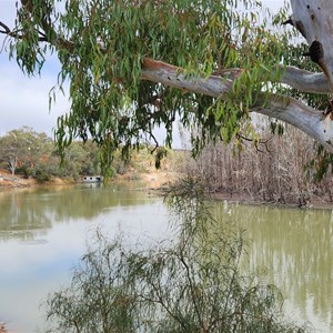 2025 July BOG Newsletter No.55