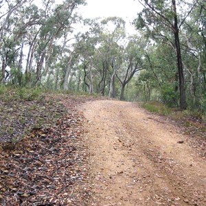 Tallaganda National Park