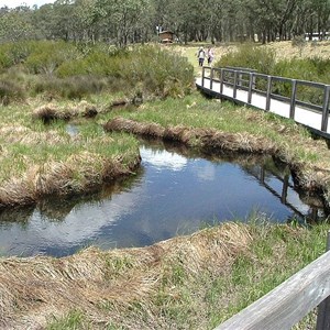 Barrington Tops