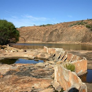 Cave Hill Woodlines