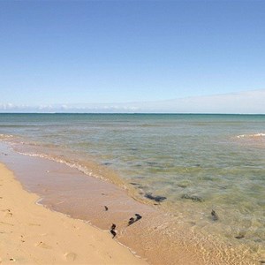 Ningaloo Reef Adventure