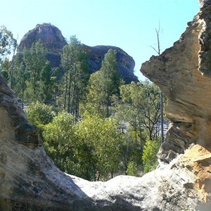 Salvator Rosa - Carnarvon NP