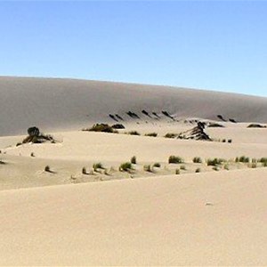 Warren Beach Dunes