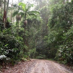 Conondale Range