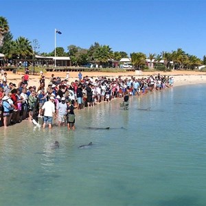 Shark Bay and Monkey Mia