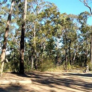 Howes Valley - Yengo NP