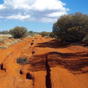 Heather Highway