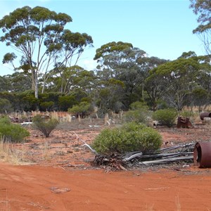 Great Western Woodlands